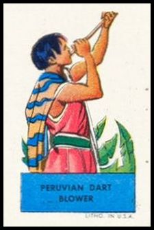 Peruvian Dart Blower